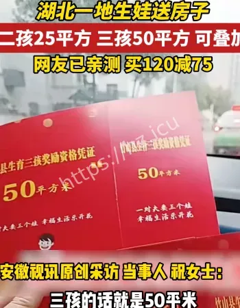 湖北三孩购房奖补